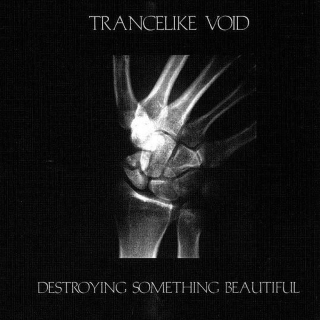 Trancelike Void - Destroying Something Beatiful  CD