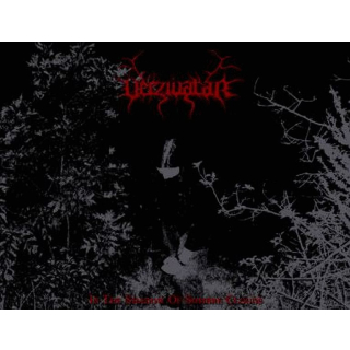 Verzivatar - In The Shadow Of Sombre Clouds CD