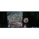 Toluca - Darvo, LP, black Vinyl