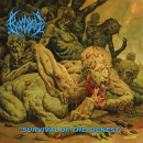 Bloodbath - Survival of the sickest, LP