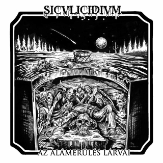 Siculicidium ?– Az alámerülés lárvái, LP