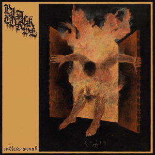 Black Curse - Endless Wound, LP