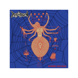 Reversed - Widow Recluse, LP