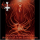 Mystifier - Demystifying the Mystified Ones for a Decade in the Earthly Paradise, LP