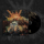 Pestilength - Solar Clorex, Digi CD