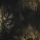 Krater - Phrenesis, LP
