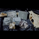 Aether - Verfallsschemen, CD