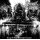 Sardonic Witchery - King of the Midnight Legions, CD