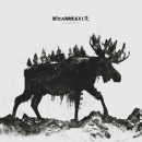 Bizarrekult - Vi Overlevde, CD